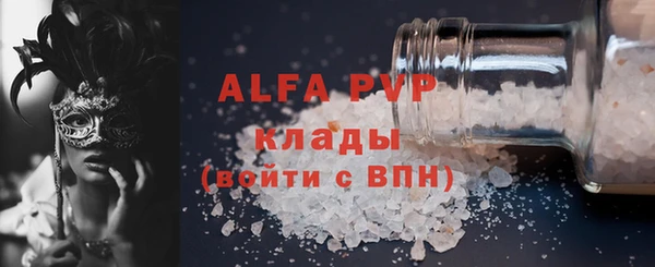 индика Карпинск