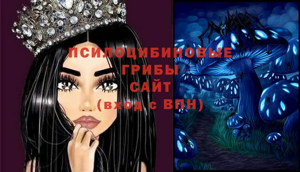 соль ск Карталы