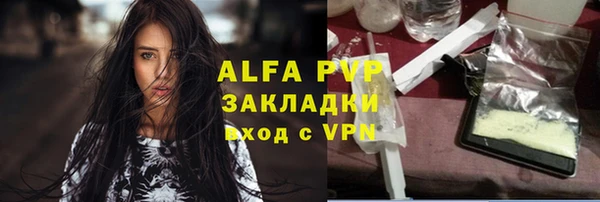 индика Карпинск