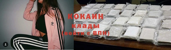 ПСИЛОЦИБИНОВЫЕ ГРИБЫ Касимов