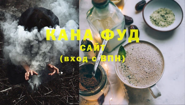 индика Карпинск