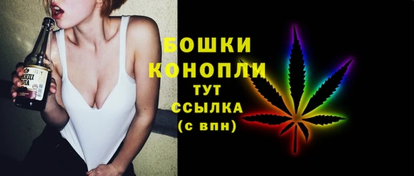 индика Карпинск