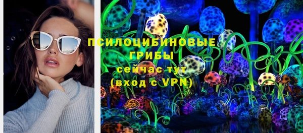 индика Карпинск