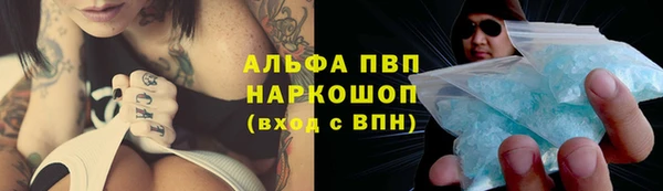 индика Карпинск