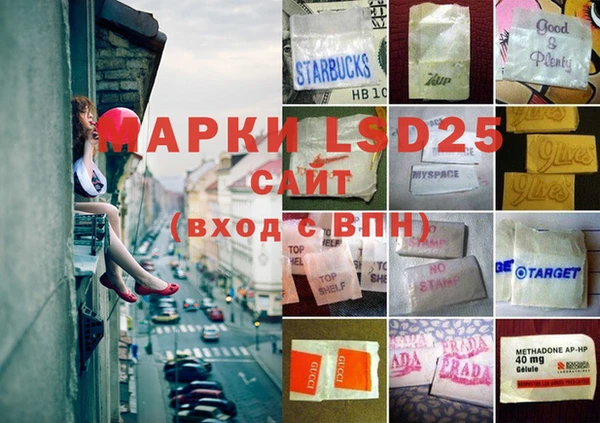 ПСИЛОЦИБИНОВЫЕ ГРИБЫ Касимов