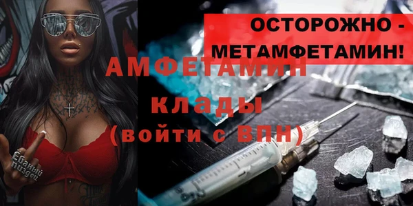 индика Карпинск