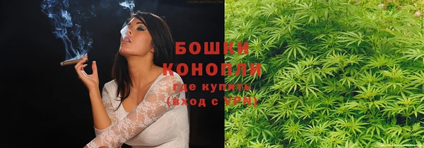 индика Карпинск