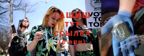 индика Карпинск