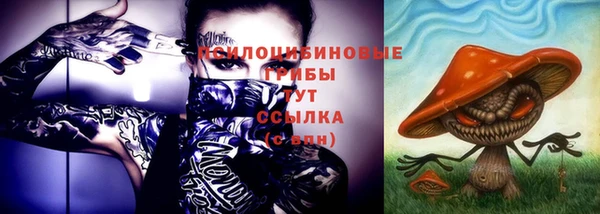 ПСИЛОЦИБИНОВЫЕ ГРИБЫ Касимов