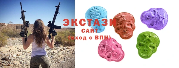 индика Карпинск
