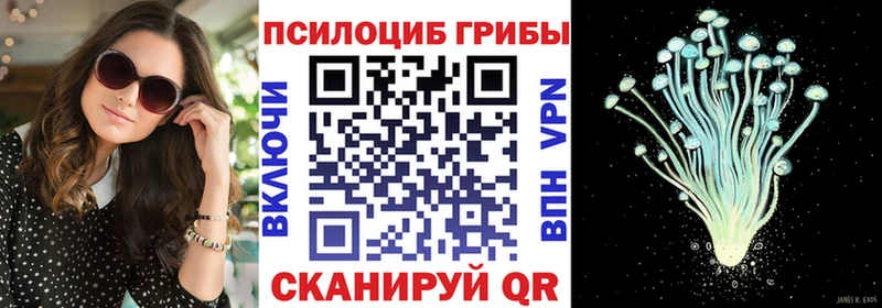 Купить  Бикин  Псилоцибиновые грибы прущие грибы 